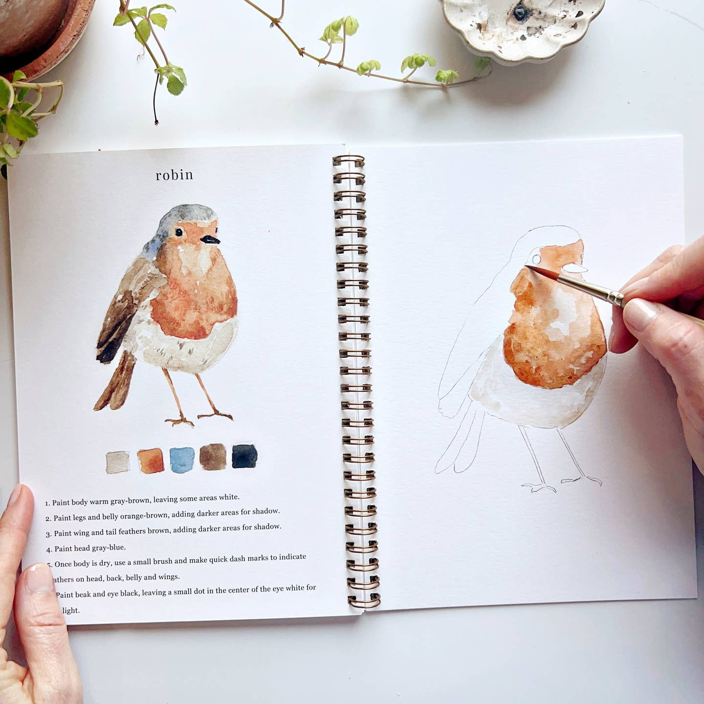 Watercolor Workbook