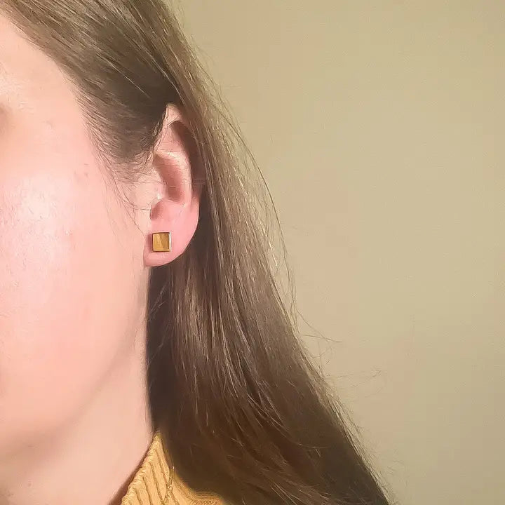 Carnelian + Tiger's Eye Mismatched Studs