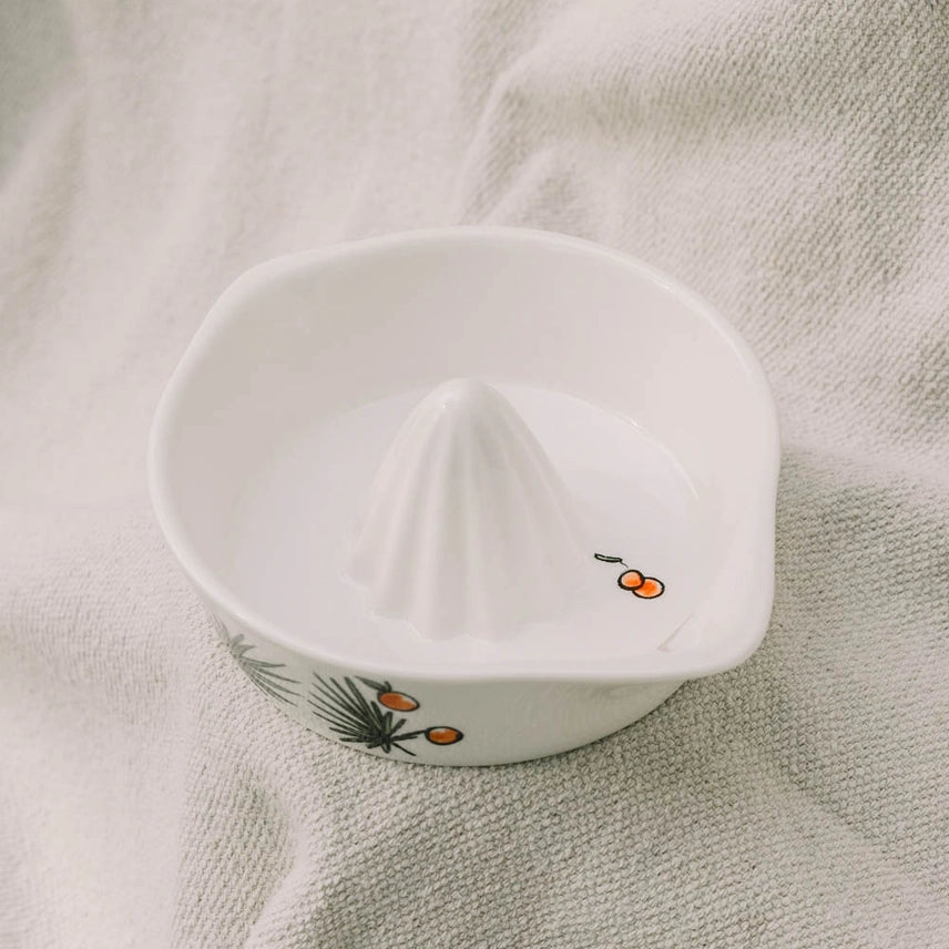 Ceramic Juicer