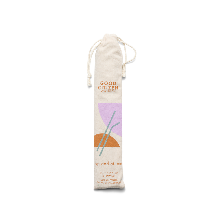 Reusable Stainless Steel Straw Set