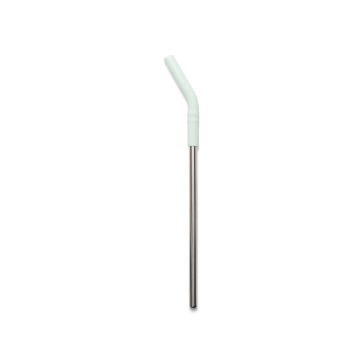 Reusable Stainless Steel Straw Set