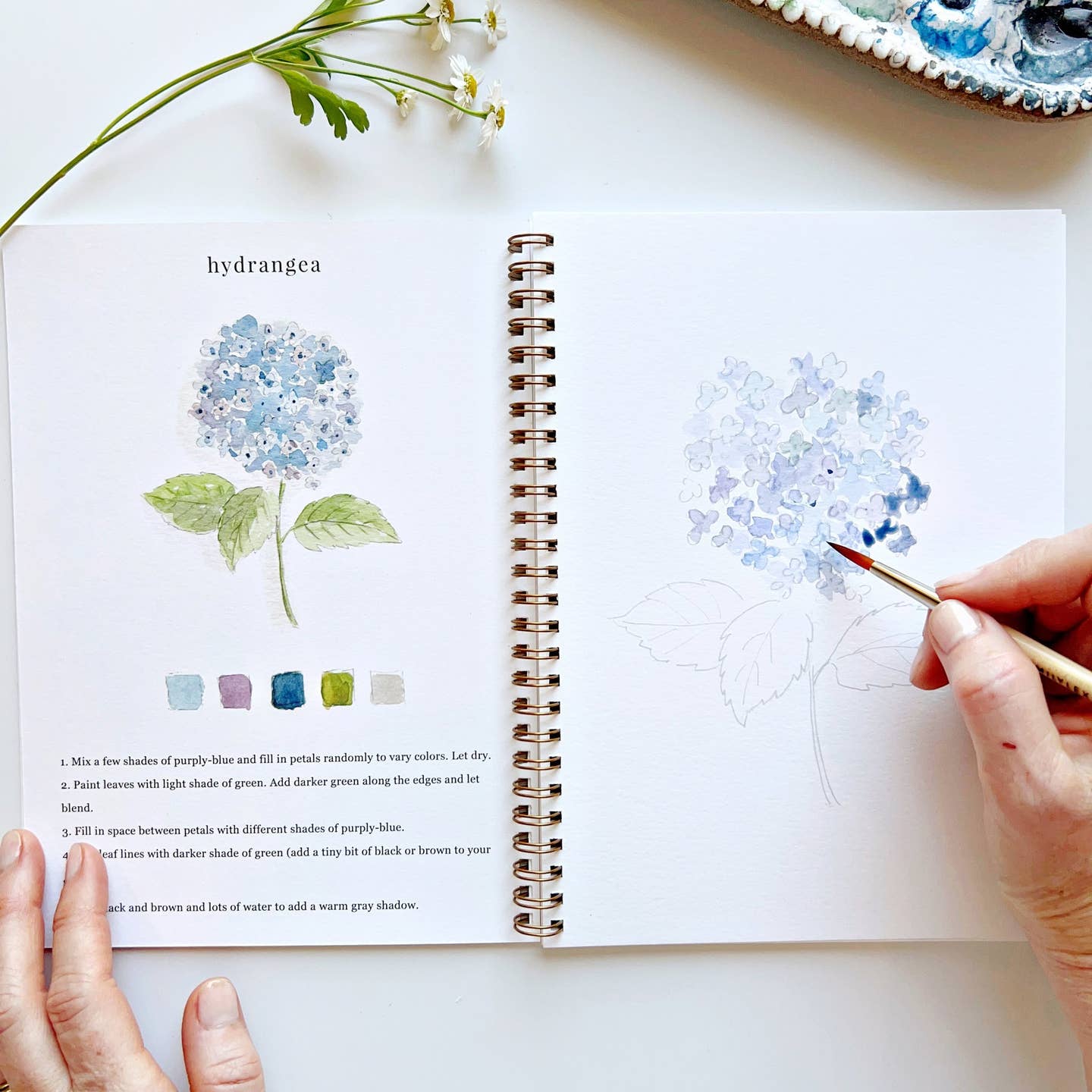 Watercolor Workbook