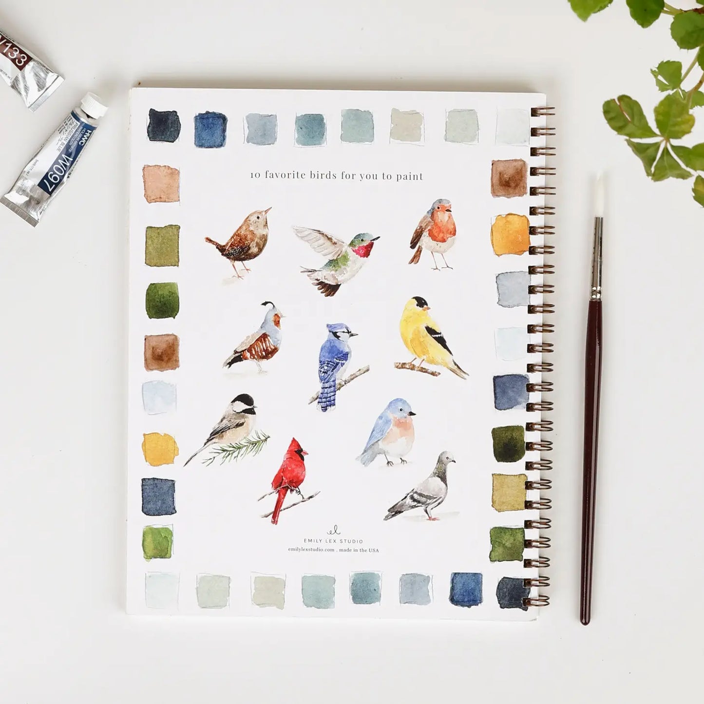 Watercolor Workbook