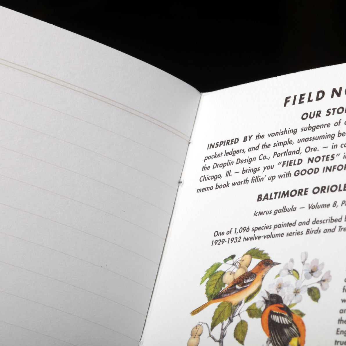 Field Notes Birds and Trees of North America