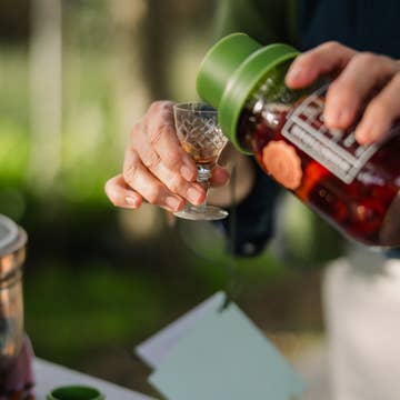 Cocktail Strainer Lid