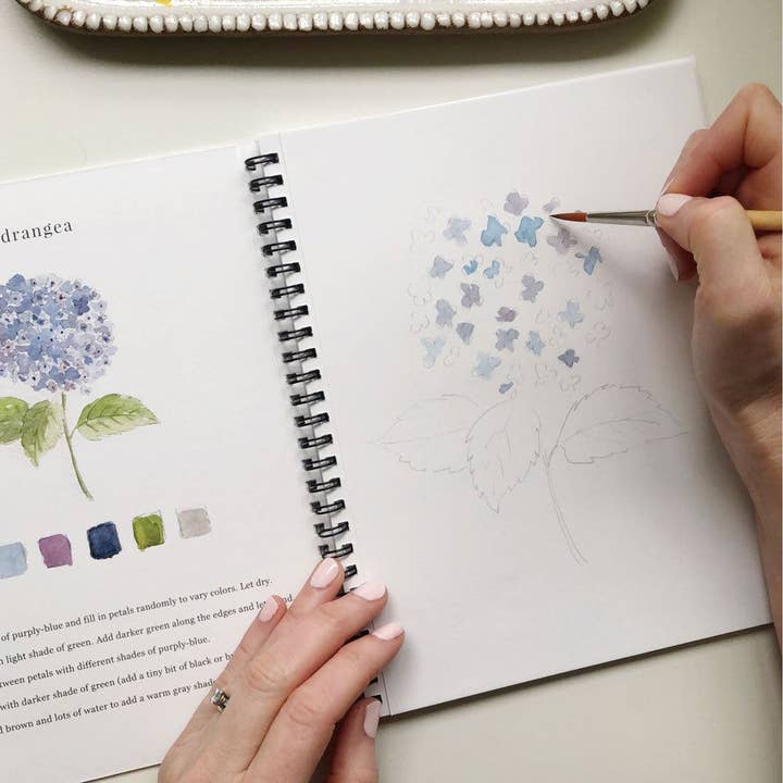 Watercolor Workbook