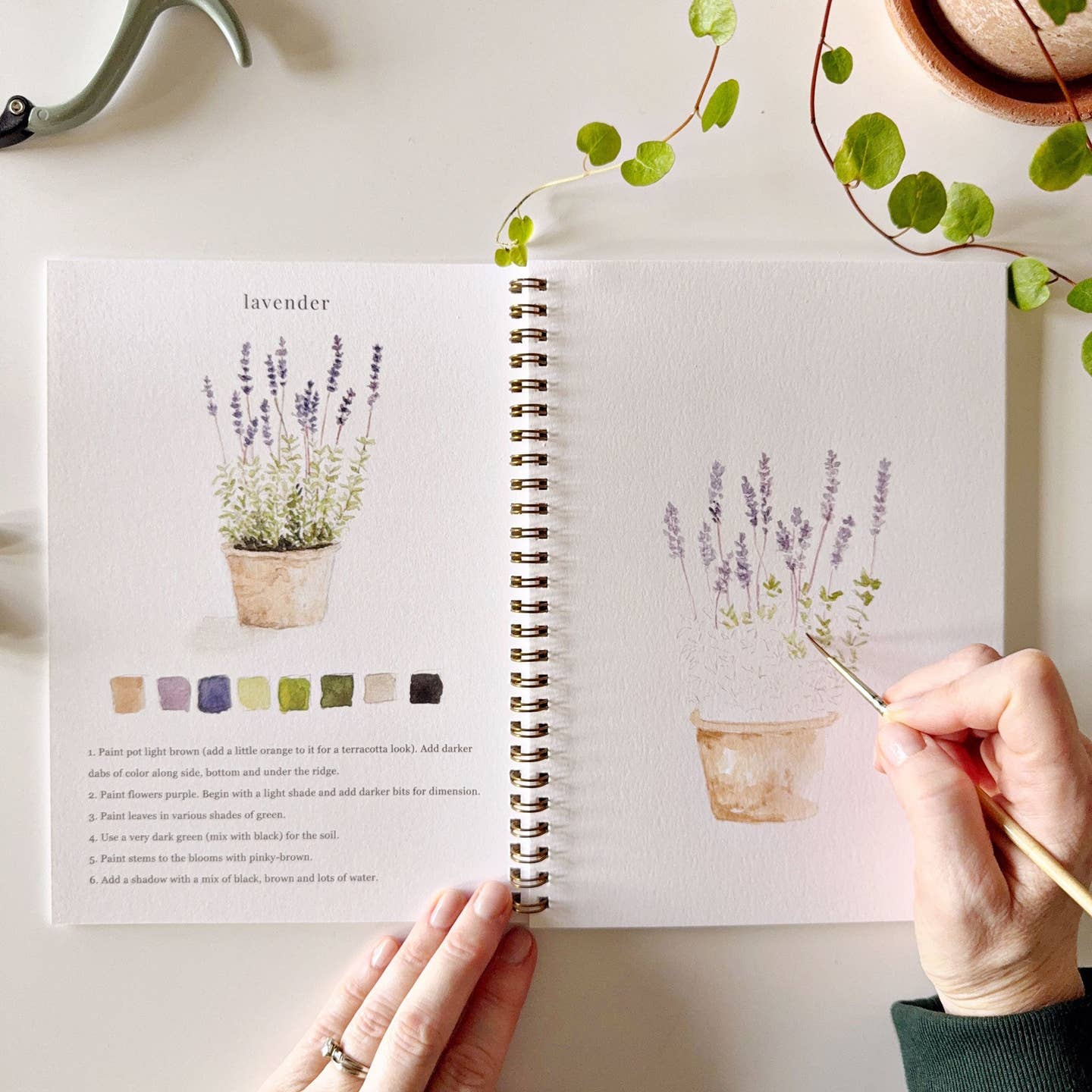 Watercolor Workbook