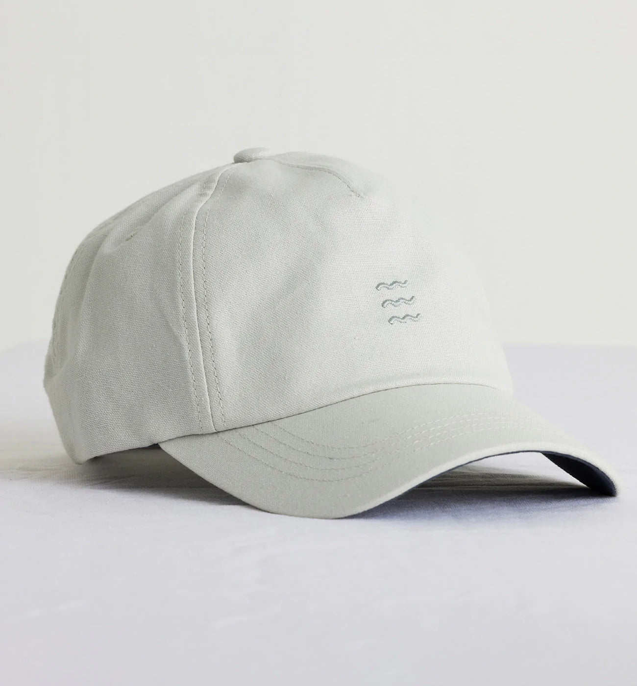 Free Fly Icon Hat